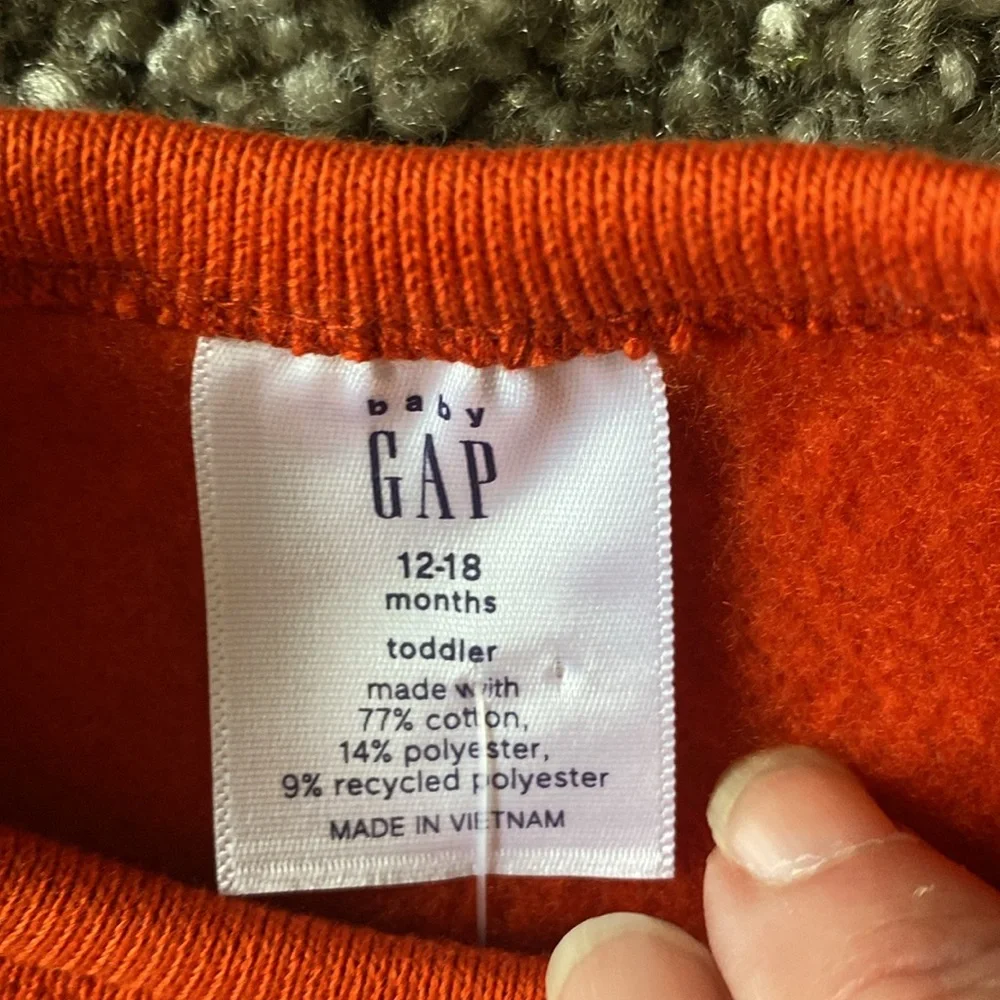 babyGap Baby Boy Burnt Orange Dinosaur Names Crewneck Graphic Sweatshirt 12-18M